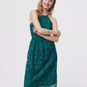 LOFT Teal Lace Halter Knee Length Dress